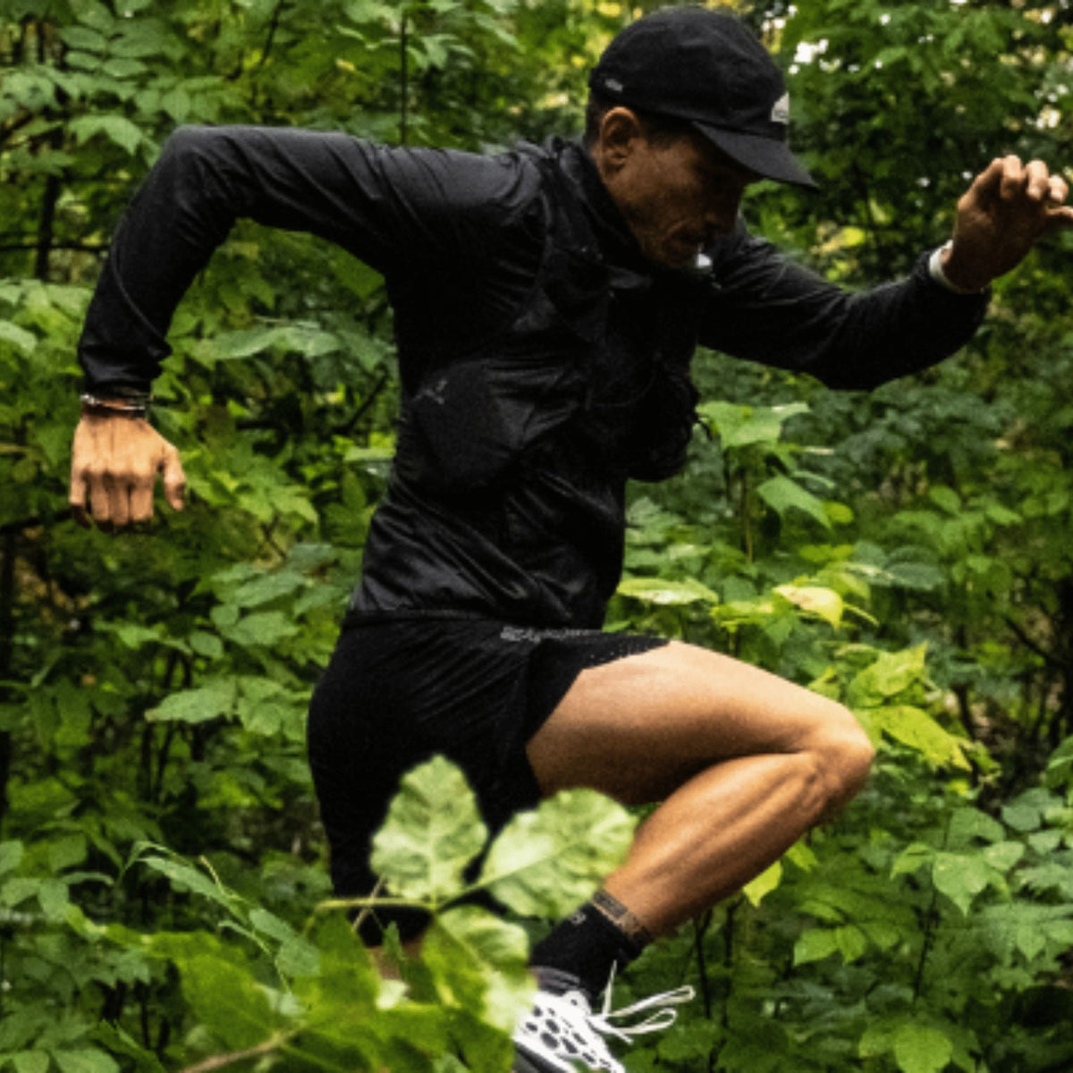 Barre énergétique | Baies et noix